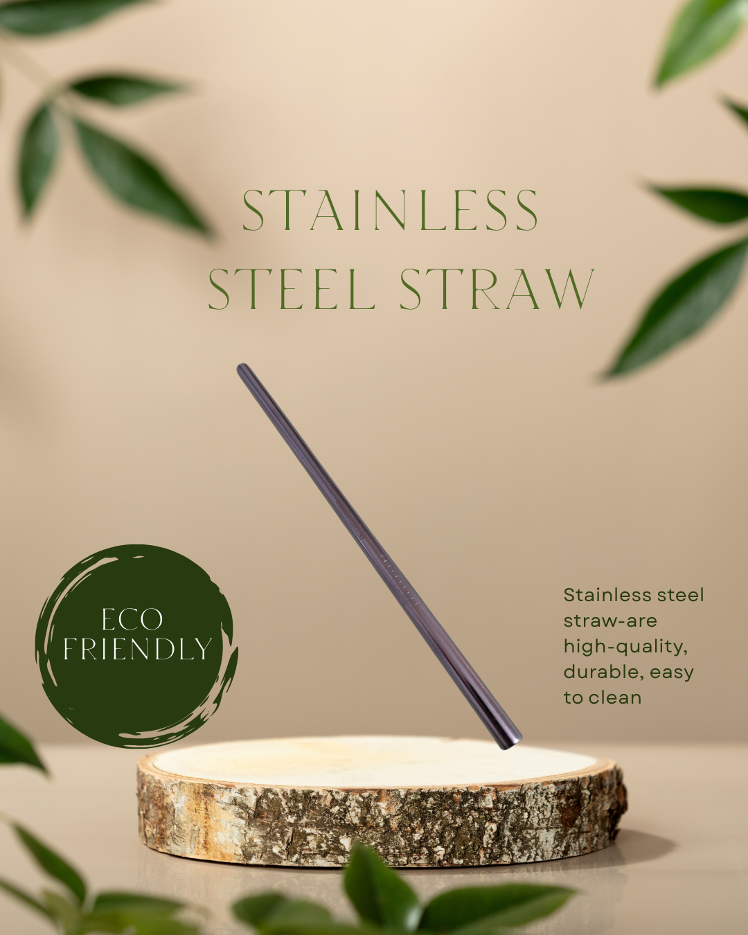 Stainless Steel Straw
